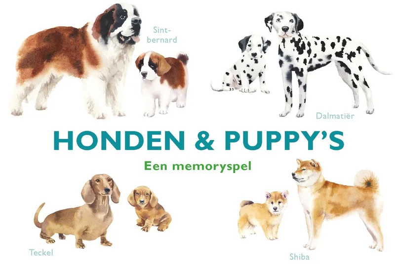 Honden & Puppy's from Megableu – box