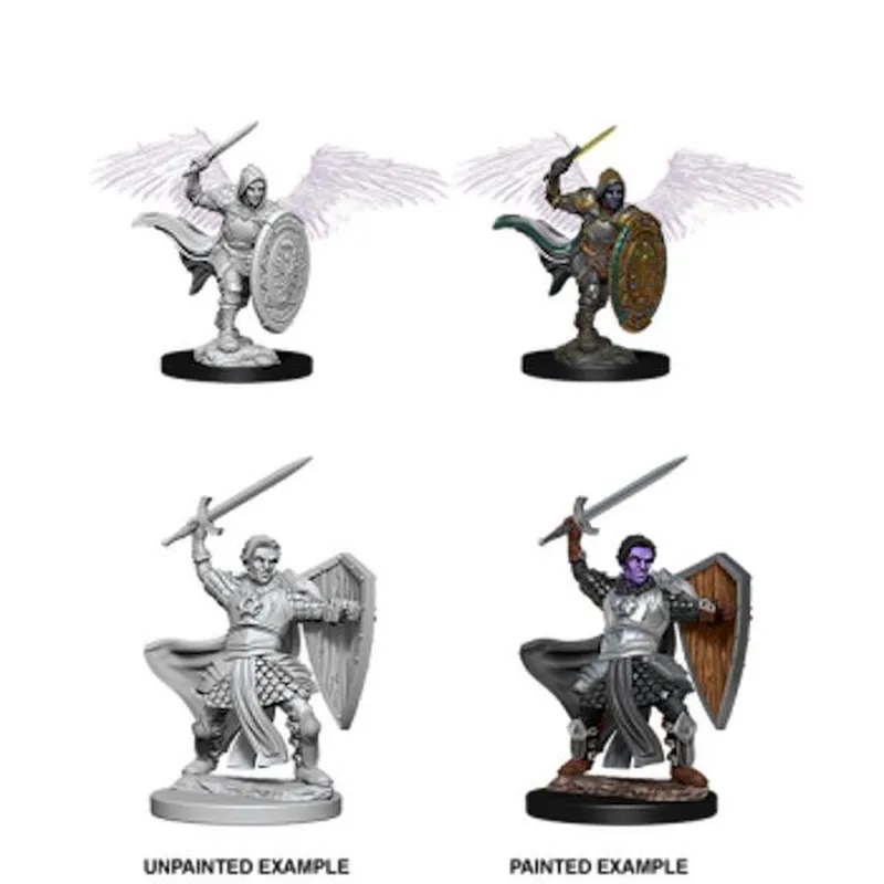 D&D Nolzur's Marvelous Miniatures Aasimar Paladin Male from WizKids – box