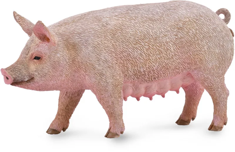 Figurine - Zeug - (M) - Boerderijdieren - Handgeschilderd - Miniatuur by Collecta in Pink – product photo