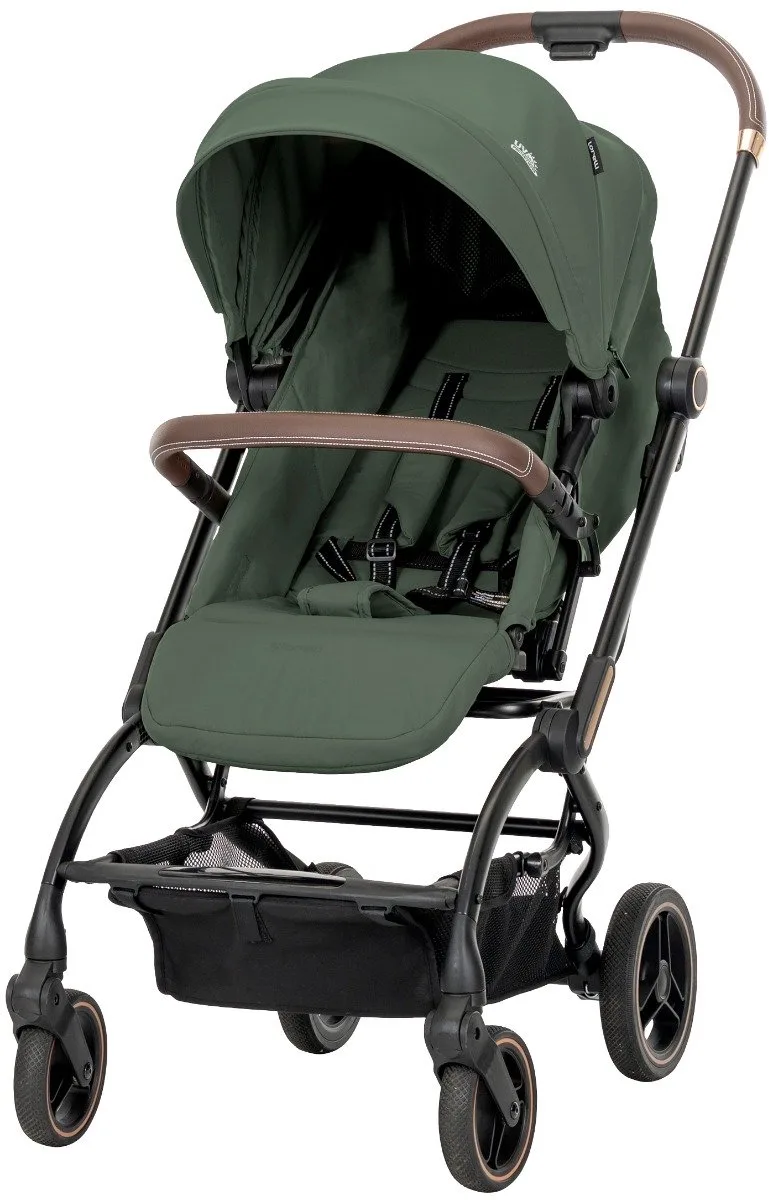 Makaya Green 360° Wandelwagen by Lorelli in Groen – product photo