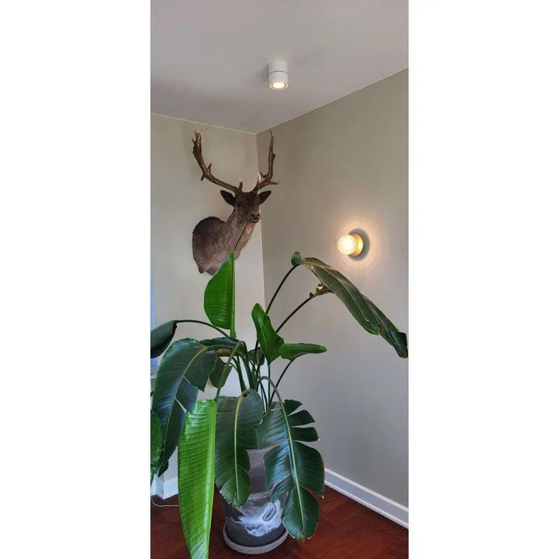 Easy Mini W75 LED Opbouwspot 2700K White by Antidark – product photo
