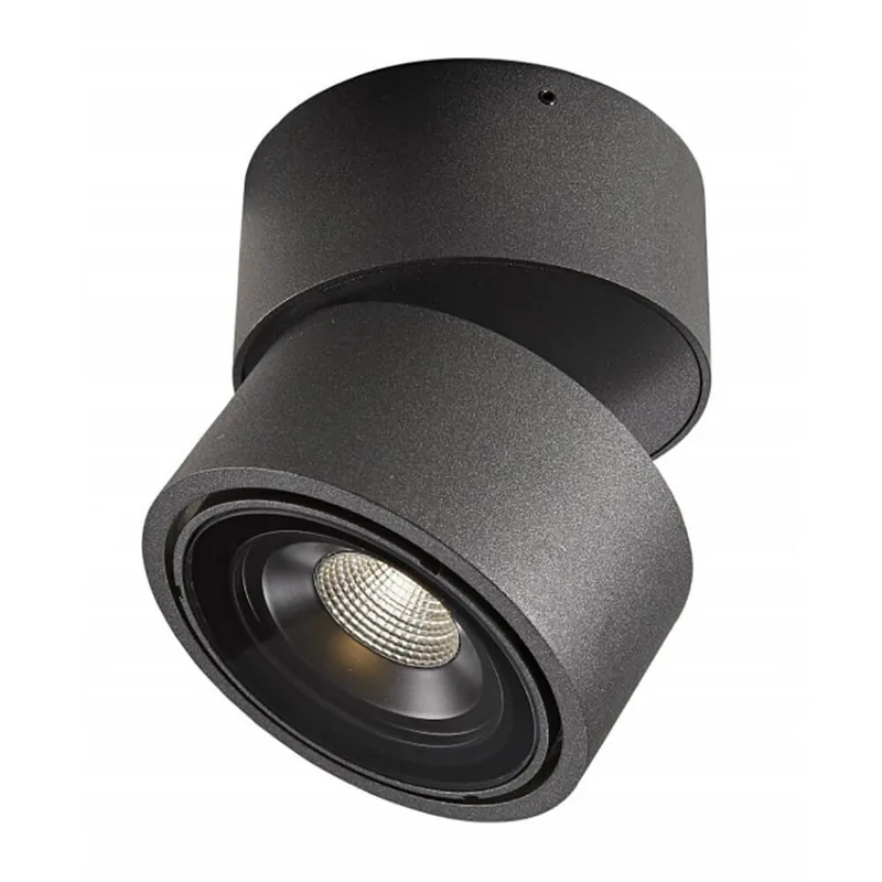 Easy W100 LED-plafondspot voor buiten, zwart, IP54 by Antidark – product photo