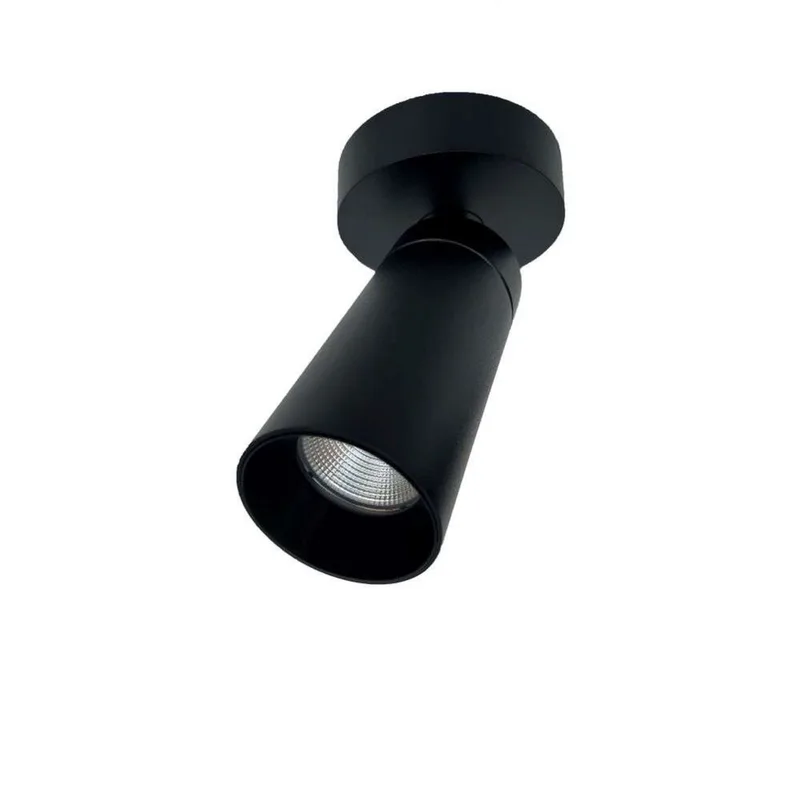 S16 Fixed spot, 17,9 cm, zwart, 2700K de Antidark – photo du produit