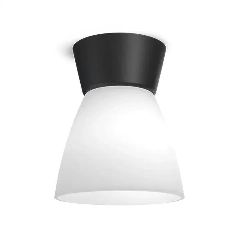 Bizzo Ceiling D165 Mattschwarz/Palmenglas E27 von Belid – Produktfoto