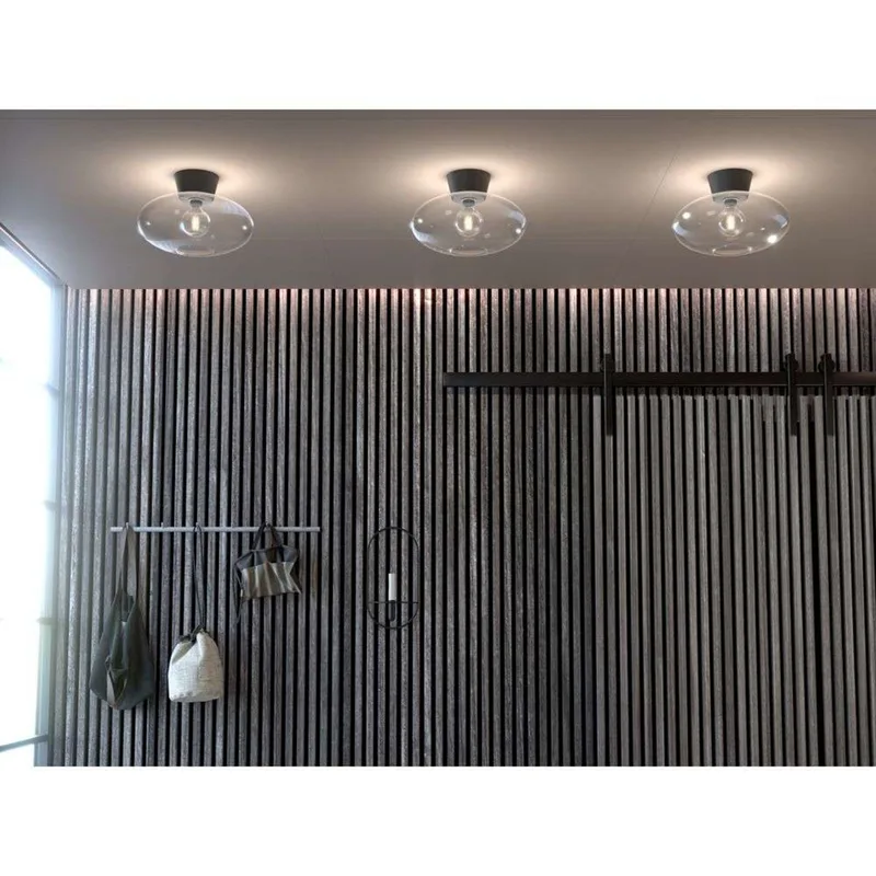 Bullo Plafondlamp XL Ø38 Matt Black/Clear by Belid – product photo