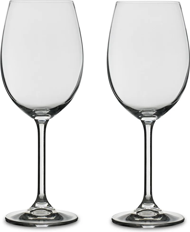 Witwijnglas 45 cl 2 st. van Bitz in Transparant – productfoto