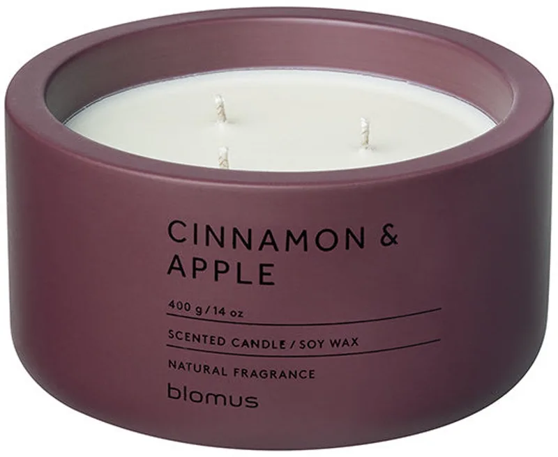 Fraga Geurkaars Cinnamon & Apple 400 Gram de Blomus en Rood – photo du produit