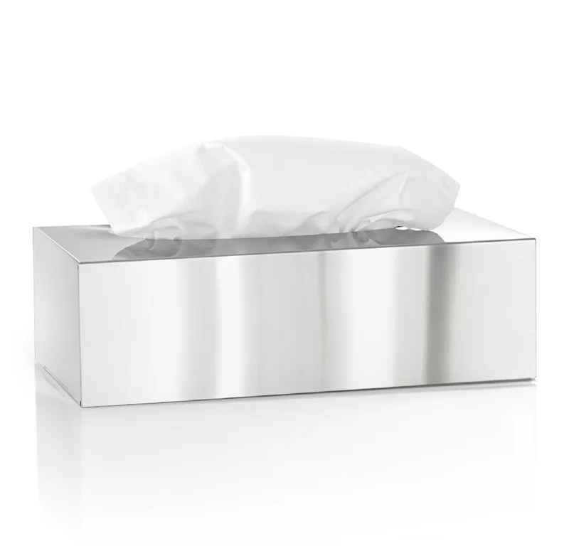 Papiertuchbox -NEXIO- Kosmetiktücherbox, Organzizer: aus Edelstahl, Stauraum für Tücher, Design, Einfache Nutzung by Blomus in Silberfarben – product photo