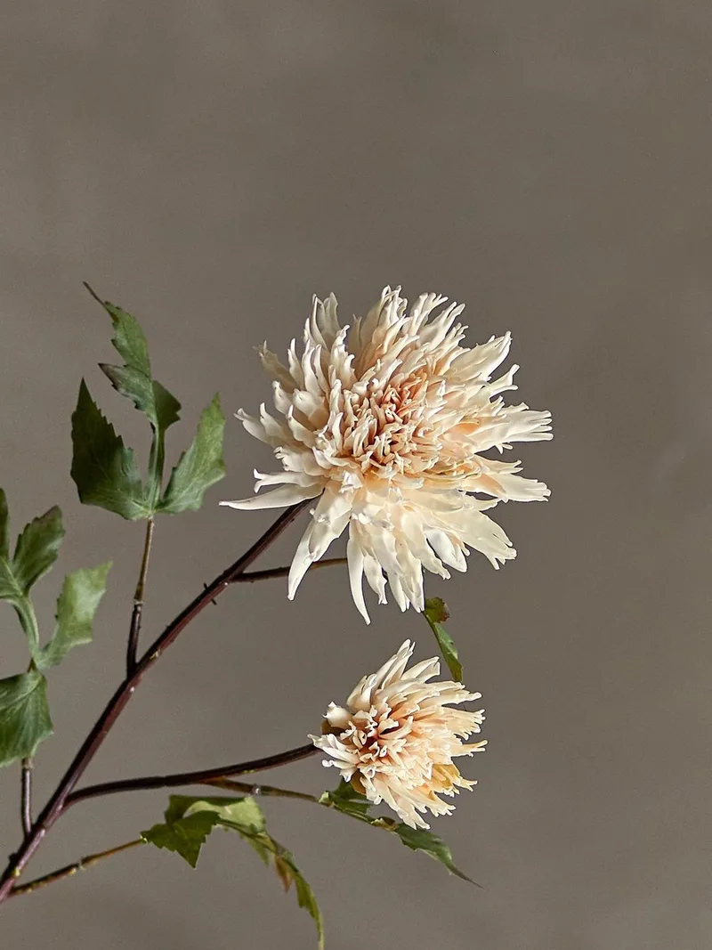 Chrysantemum Stem Nature van Bloomingville in [gid://shopify/Metaobject/297300001103] – productfoto
