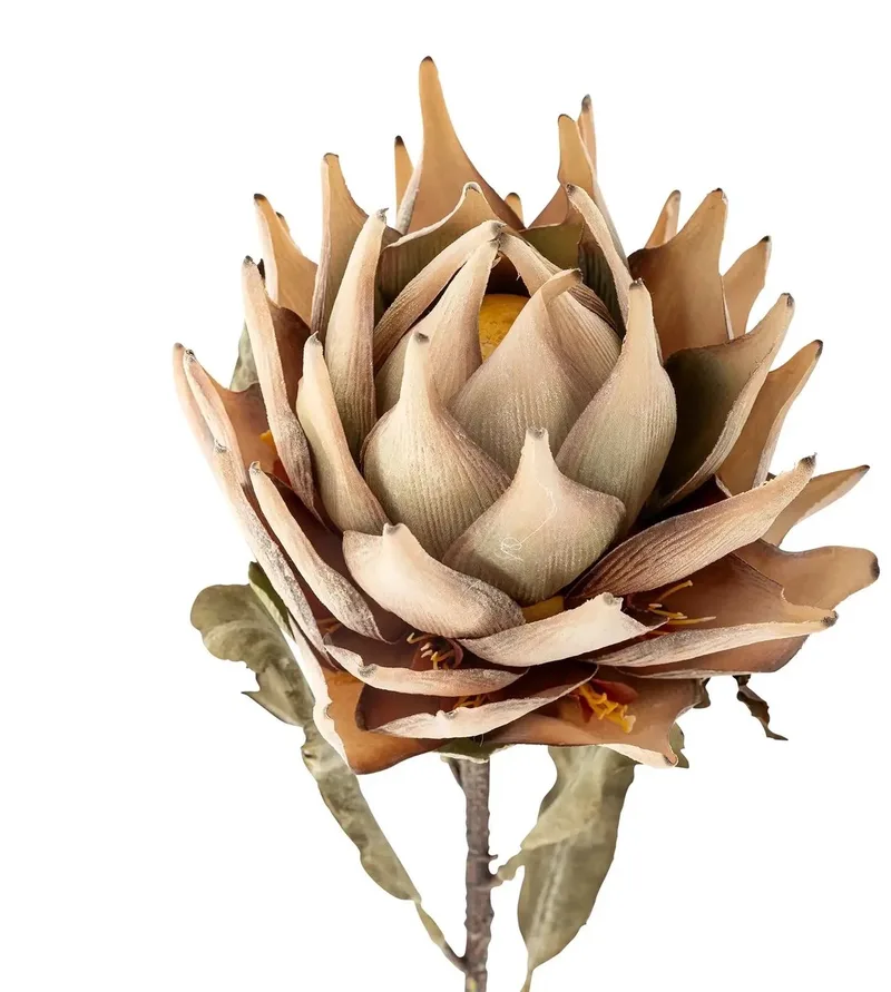 Kunstbloem Protea nature 76cm från Bloomingville i [gid://shopify/Metaobject/297300001103,gid://shopify/Metaobject/307221758287] – produktbild
