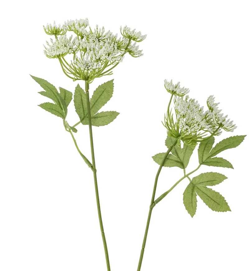 Kunstbloem venkel wit Fennel 66 cm von Bloomingville in [gid://shopify/Metaobject/296204665167] – Produktfoto