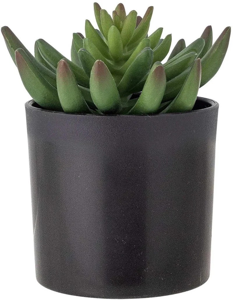 Kunstplant Echeveria Plant de Bloomingville en Print – photo du produit