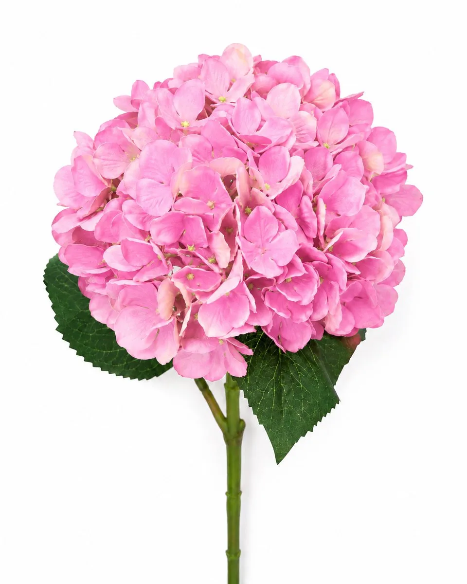 Tim kunstbloem hortensia tak - Roze - Premium zijdenbloem - Hoogte: 70 cm, Bloemkop: 19 cm van Bloomingville – productfoto