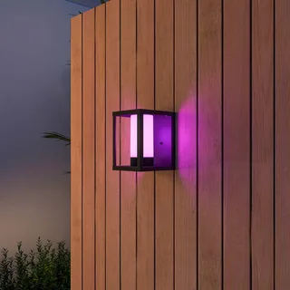 Smart Outdoor Lantern Wandleuchte, CCT, RGB de Calex en Noir – photo du produit 2 sur 4
