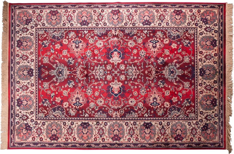 Bid Vloerkleed 200X300 de Dutchbone en Rood – photo du produit