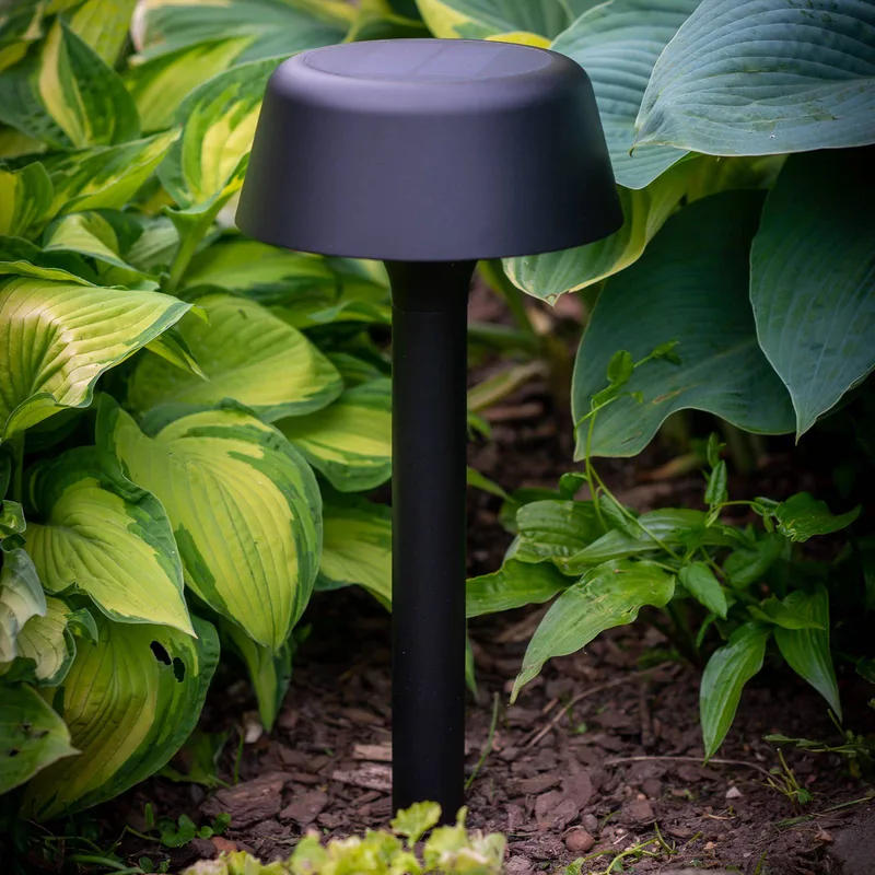 Valencia padlamp op zonne-energie von Dyberg Larsen in Zwart – Produktfoto