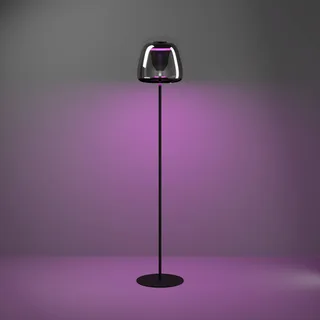 LED vloerlamp Alfero-Z, RGB, CCT, zwart by EGLO connect in Black, Chrome – product photo 5 of 5