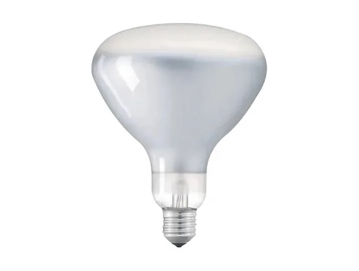 Ampoule LED R125 E27 2700K 1180 lm 12 W de Flos – photo du produit