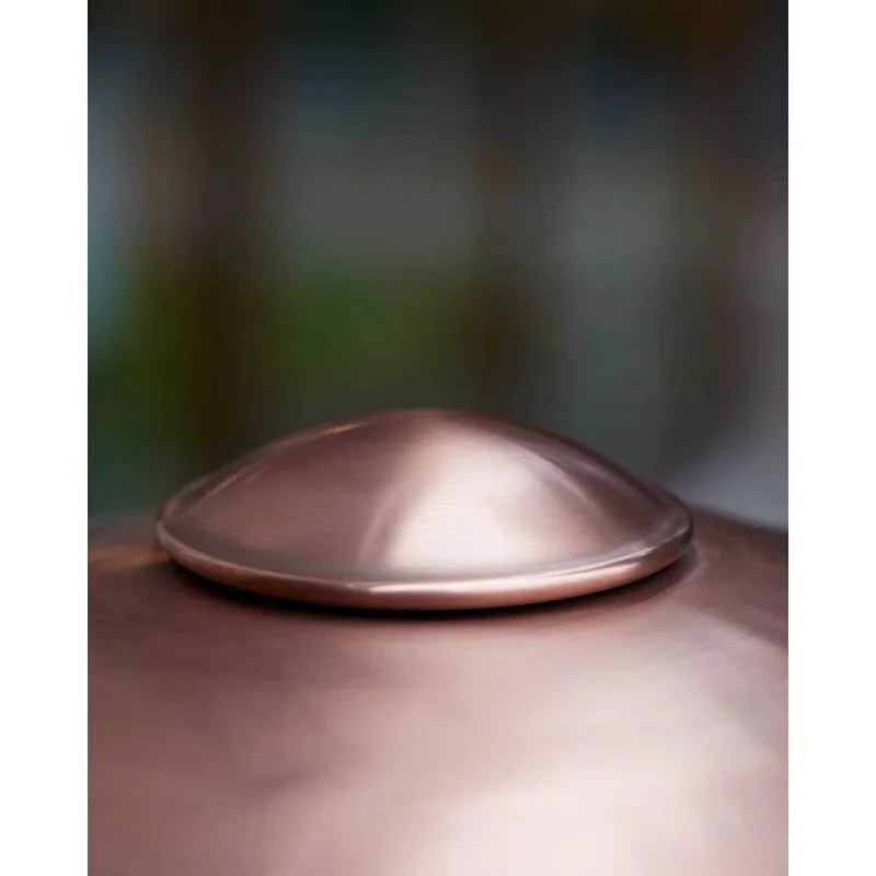 HL410 buitenwandlamp, koper/transparant by Fritz Hansen – product photo