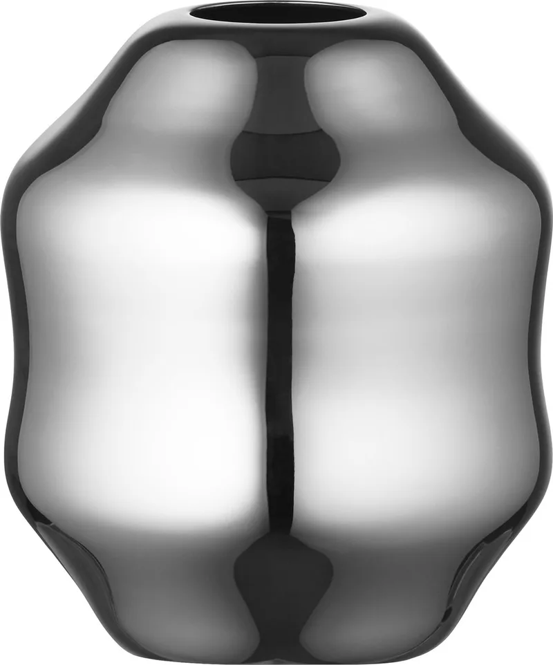Dorotea Vaas Dia 9 x 10 Glanzend staal de Gense en Polished steel – photo du produit