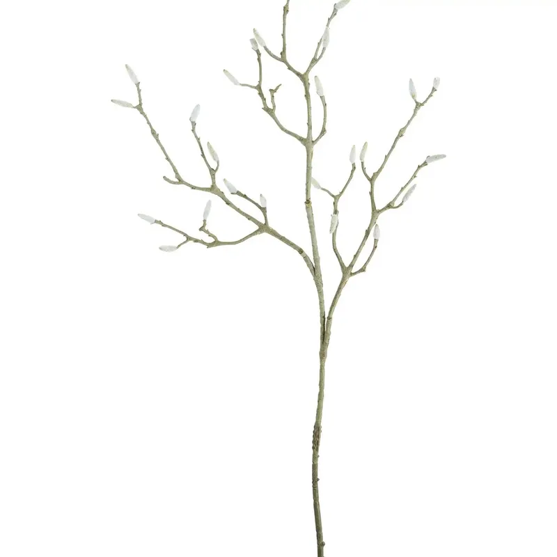 Kunsttak – Groene Decoratieve Takken met Witte Knoppen van House Doctor in Magnolia – productfoto