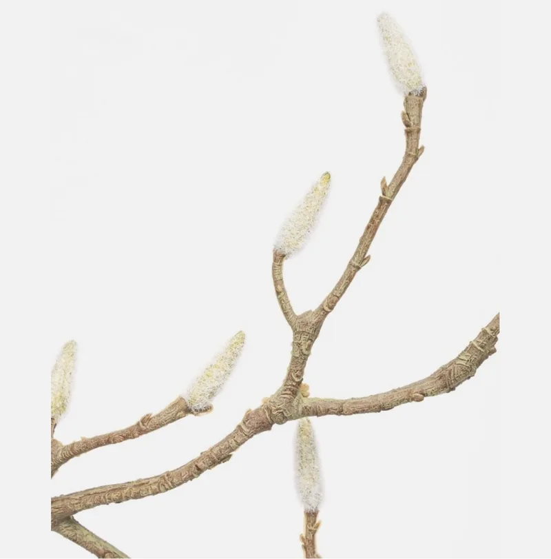 Kunsttak Magnolia – 3 Stuks – Groene Decoratieve Takken met Witte Knoppen van House Doctor in Magnolia – 3 st – productfoto