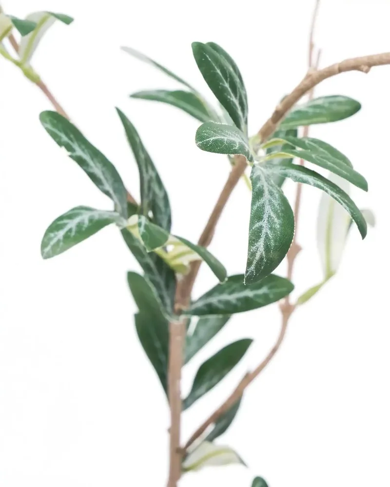 Kunsttak Olive groen van House Doctor in [gid://shopify/Metaobject/303100625231] – productfoto