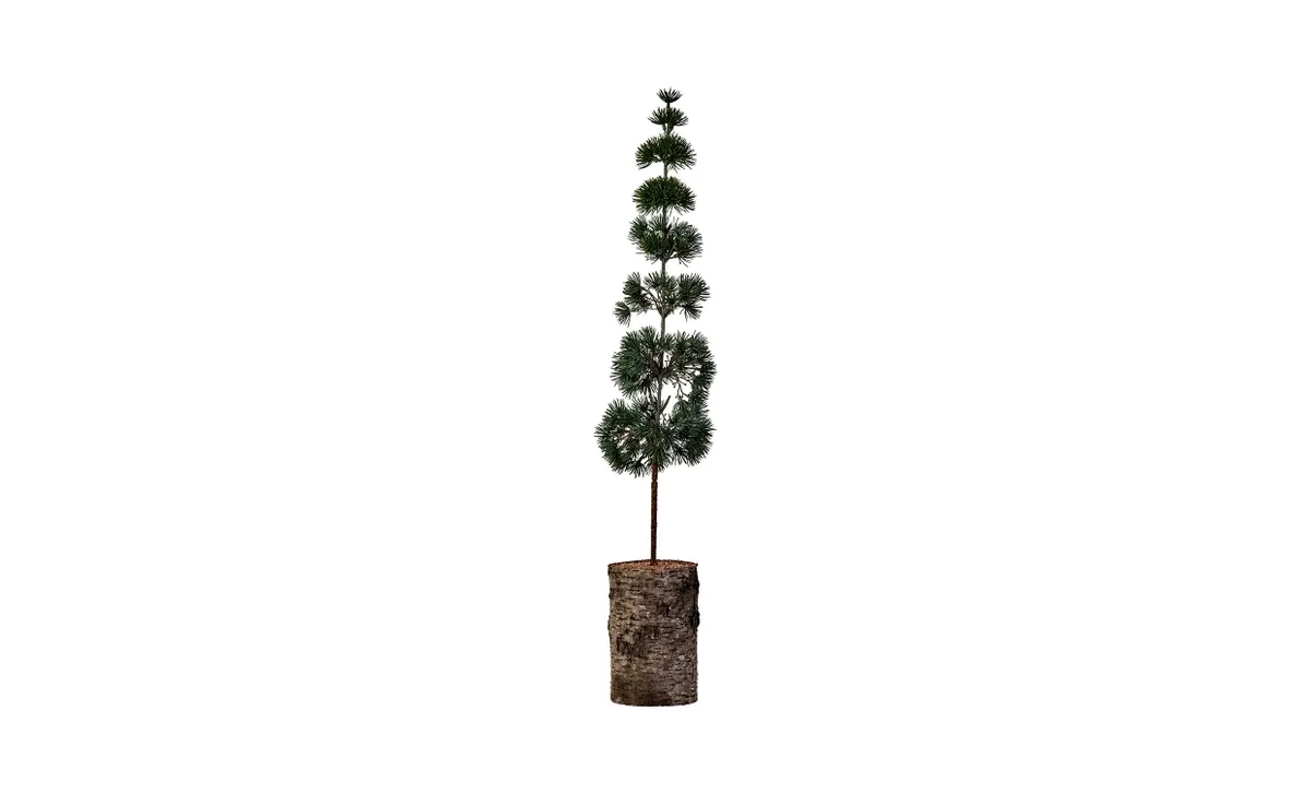 PINE Julgran Grön H80 by House Doctor – product photo