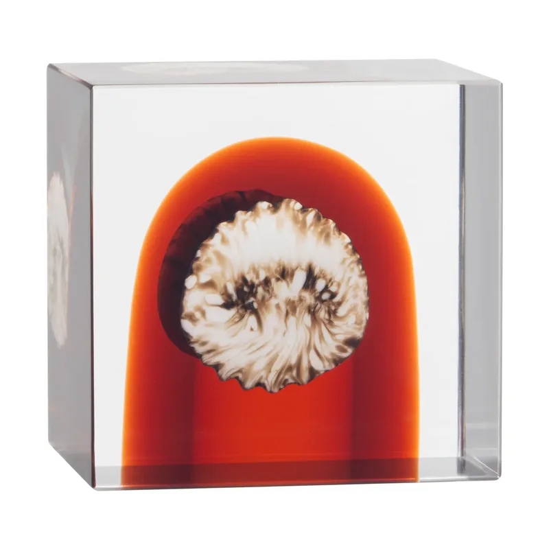 Iittala Jahreswürfel 2026 by Iittala – product photo