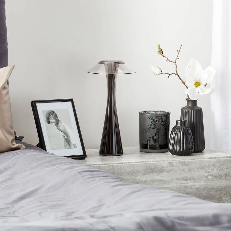 Space Tafellamp Titanium by Kartell – product photo 2 of 5