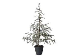 Winterliche Kunstpflanze Kunstbaum mit Beleuchtung CEDILLE, Lene Bjerre, Höhe 120 cm von Lene Bjerre in Grün – Produktfoto 1 von 2