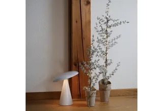 Winterliche Kunstpflanze Zeder PINEA mit LED, Lene Bjerre, Höhe 60 cm by Lene Bjerre in Green – product photo 3 of 4