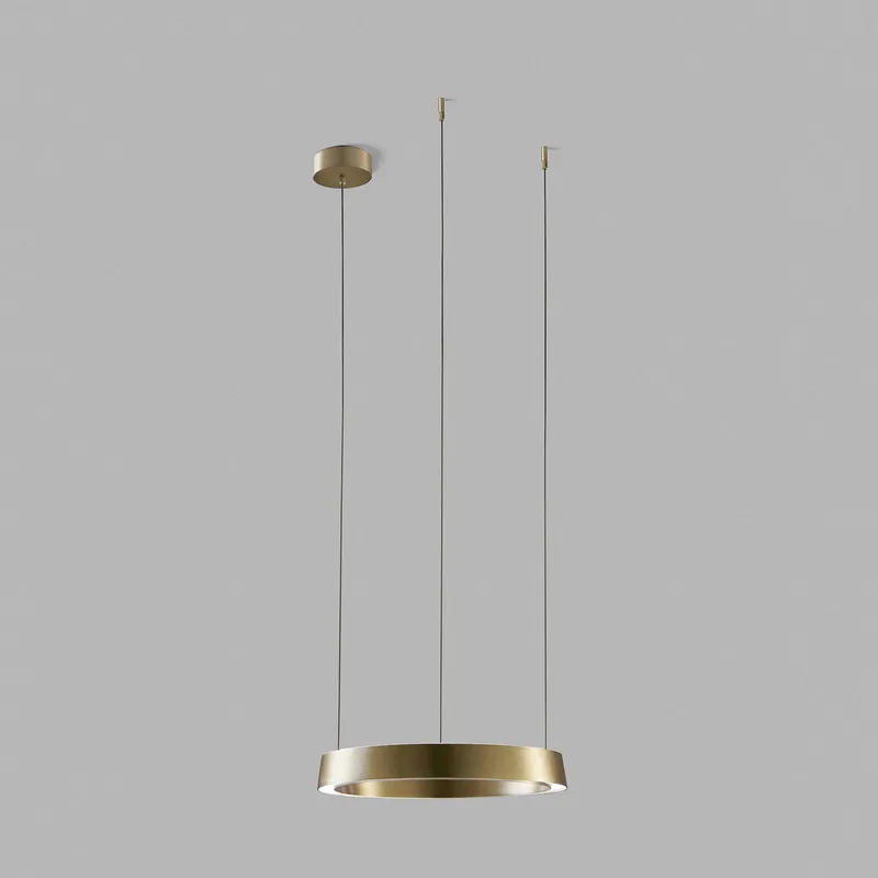Edge Round LED hanglamp, messing, Ø40cm, CCT by LIGHT-POINT – product photo