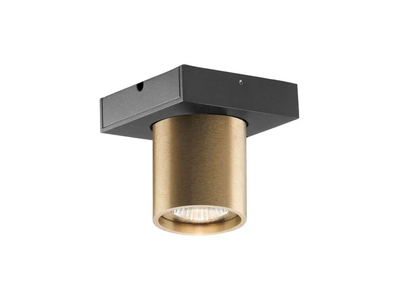 Focus 1 LED Plafondlamp 3000K Brass von LIGHT-POINT – Produktfoto