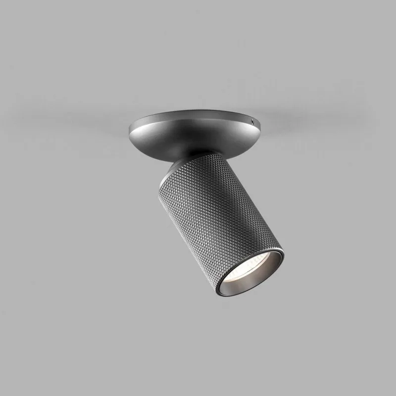 Raw 1 Plafondlamp 3000K Titanium von LIGHT-POINT – Produktfoto