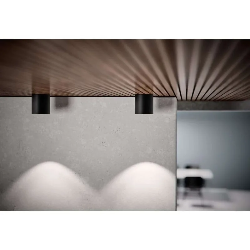 Solo 2 ronde plafondlamp, zwart/wit, Ø 10 cm från LIGHT-POINT – produktbild