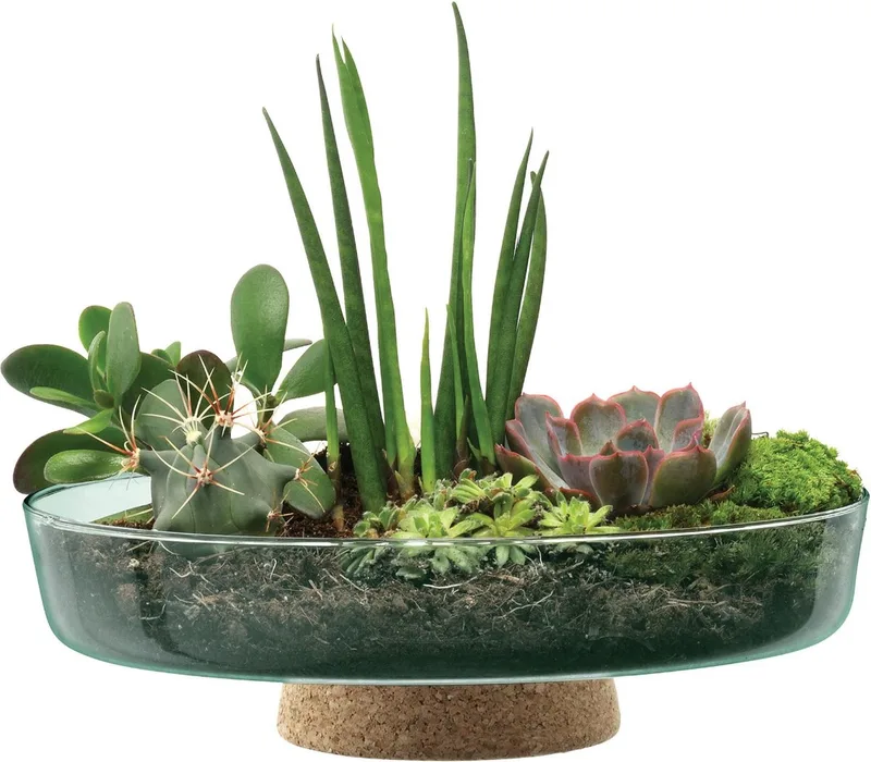 Canopy Plantenschaal op Voet ø 28 cm by LSA International in Transparent – product photo