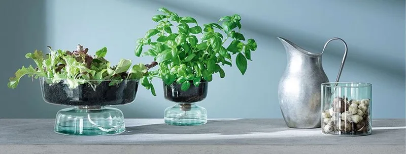 Canopy Vaas 14 cm Recycled - Gerecycled Glas by LSA International in Transparent – product photo