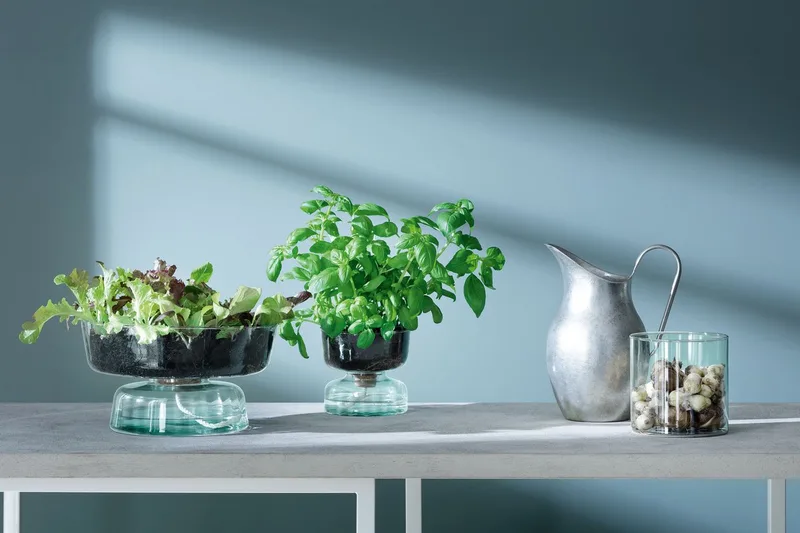 Canopy Vaas met Bewateringsysteem 14,5 cm - Gerecycled Glas by LSA International in Transparent – product photo