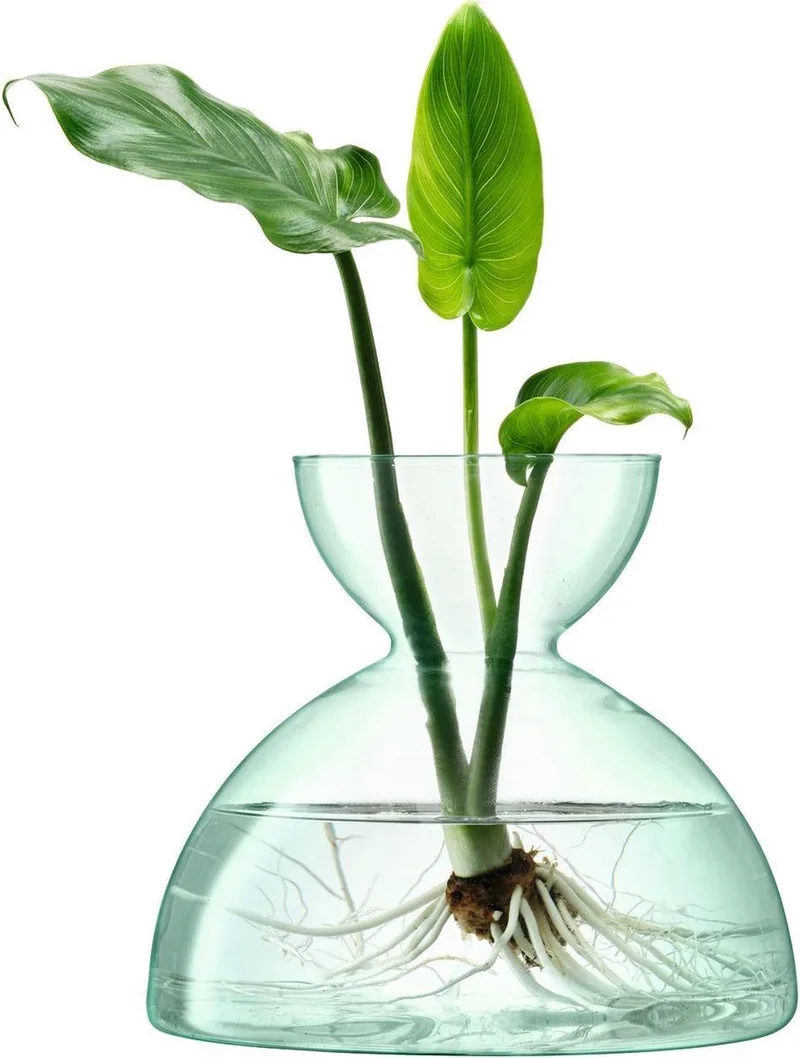 Canopy Vaas - Ø 20,7 cm - 18,2 cm Hoog by LSA International in Transparent – product photo