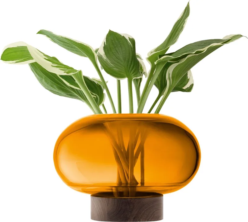Oblate Vaas 19,5 cm - Glas by LSA International in Orange – product photo