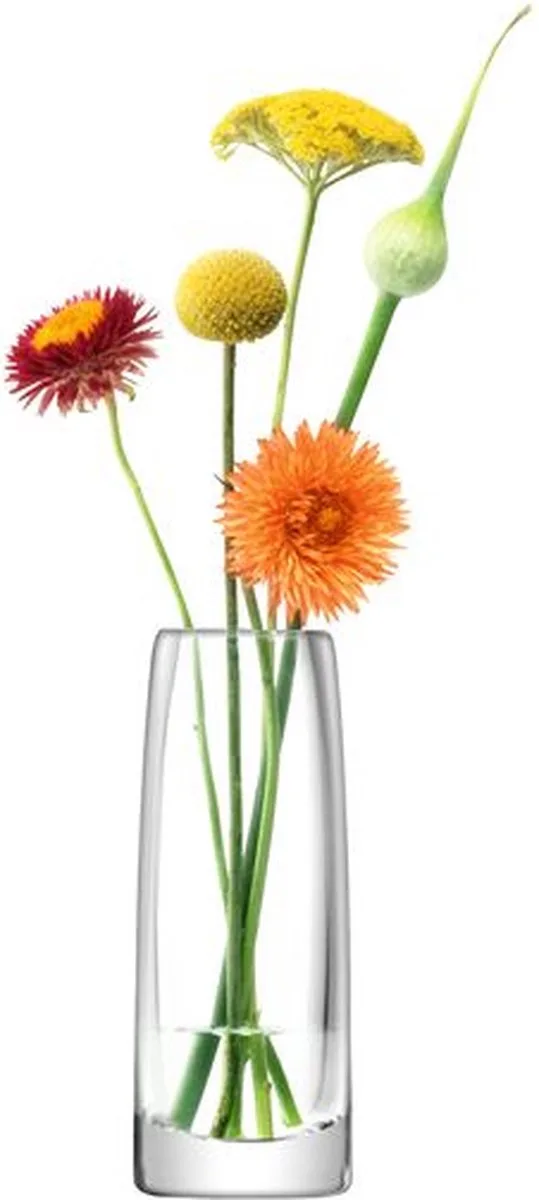 Stems Bud Vaas - Glas - 16 cm by LSA International in Transparent – product photo