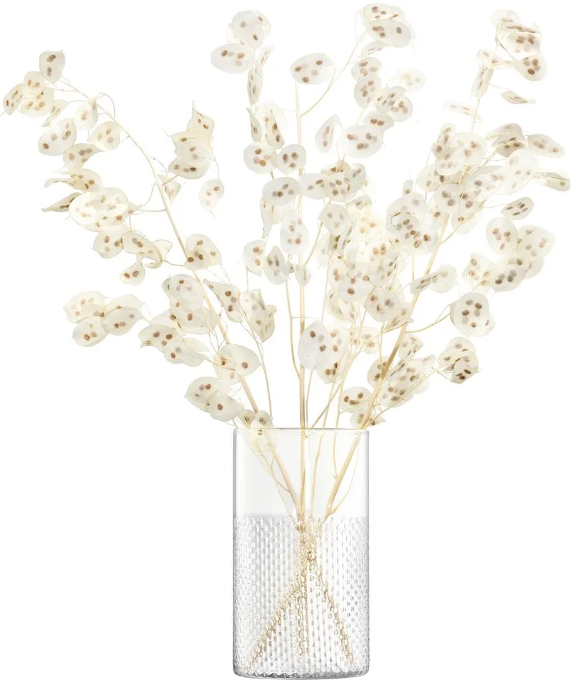 Wicker Lantaarn of Vaas - 25,9 cm Hoog by LSA International in Transparent – product photo