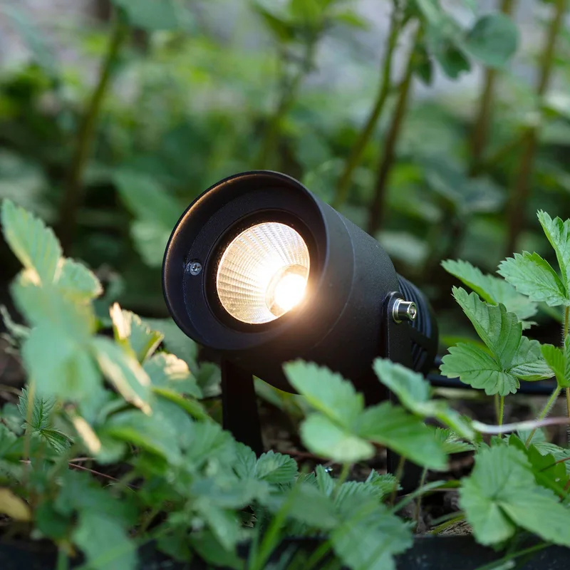 Garden 24 LED-spot, 6 watt van Markslöjd in Zwart – productfoto
