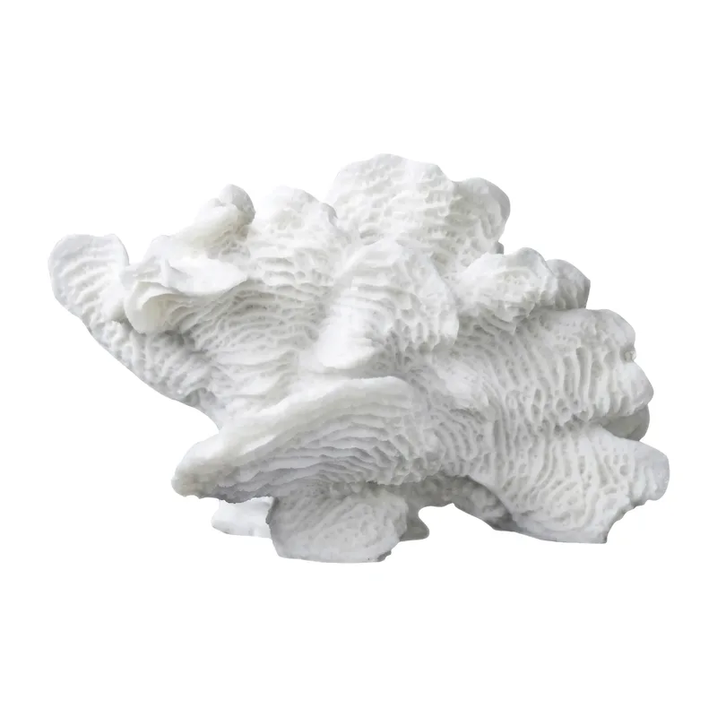 Coral fan White by Mette Ditmer – product photo