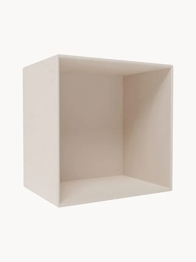 Module Mini 1001