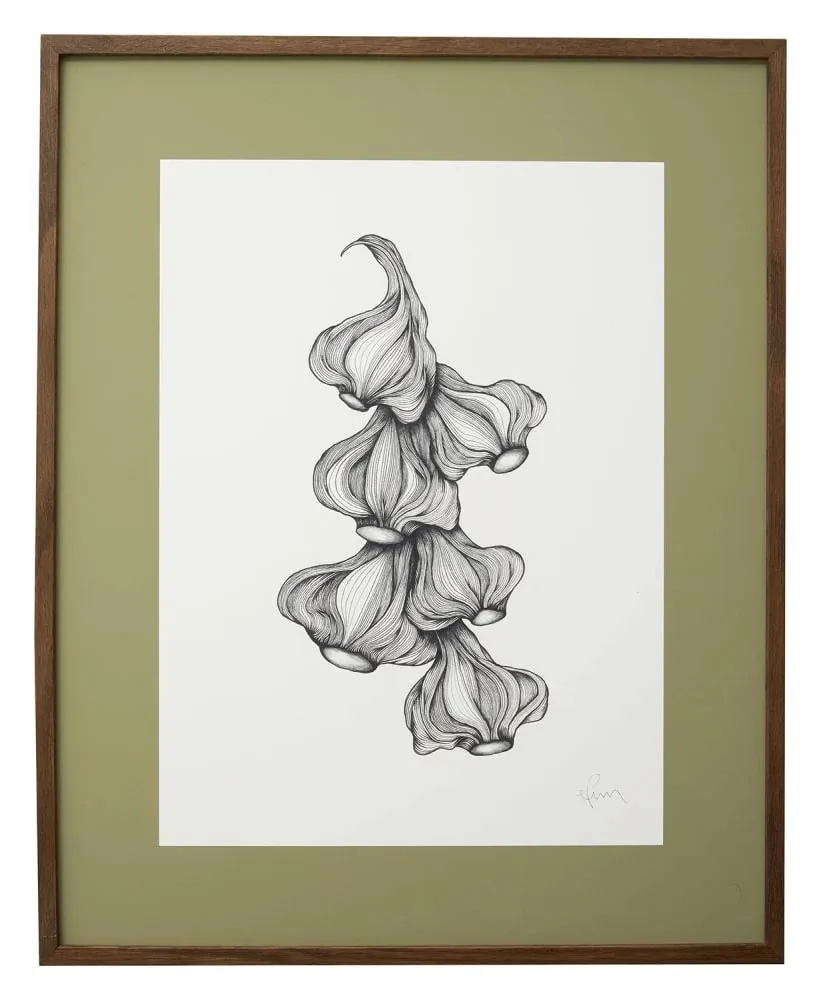 Garlic illustratie - donker eiken de Nordal – photo du produit