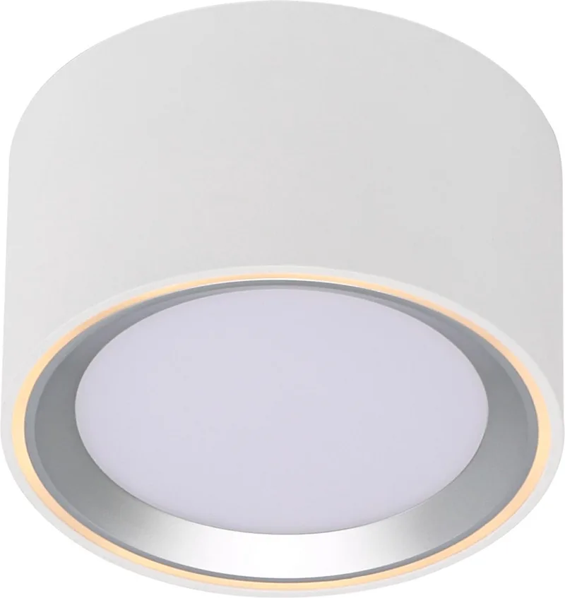 Fallon Surface-downlight-3 step Moodmaker™ dimming-wit/staal by Nordlux in Wit, RVS (geborsteld) – product photo