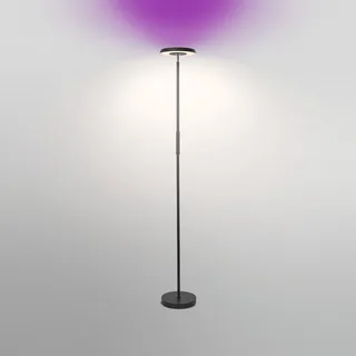 WiFi LED vloerlamp, up/down, RGB CCT de OSRAM SMART+ en Noir – photo du produit 3 sur 4