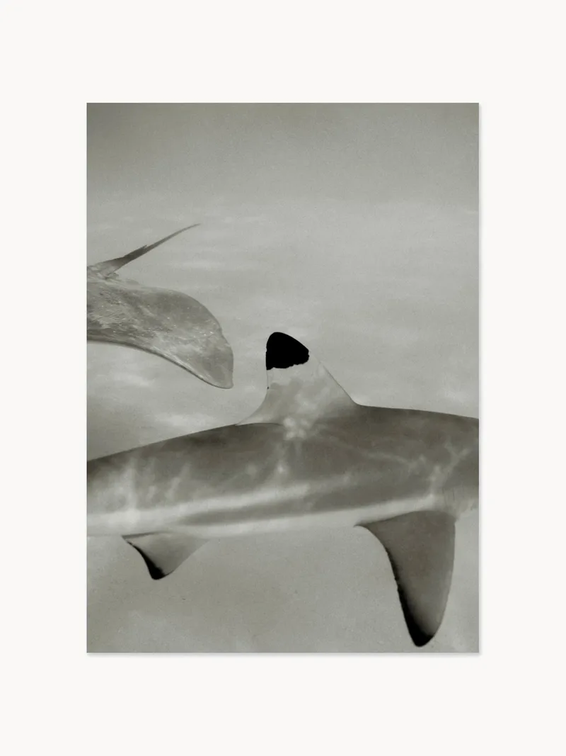 Digitale print Abyssal de Paper Collective – photo du produit
